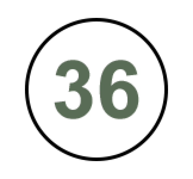 Кросівки GL 039-073 чорний