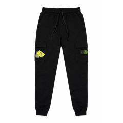 Штани спортивні Stone Island 
